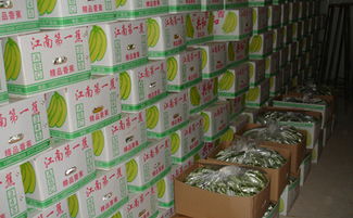 100平方米水果冷庫(kù)造價(jià)要多少錢